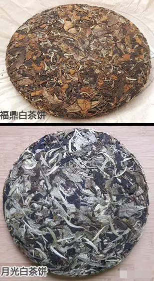 福鼎白茶