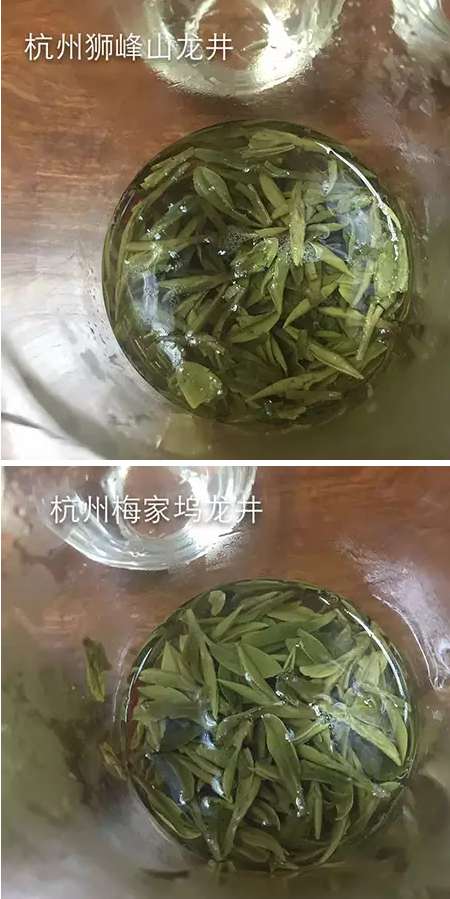 龙井茶叶