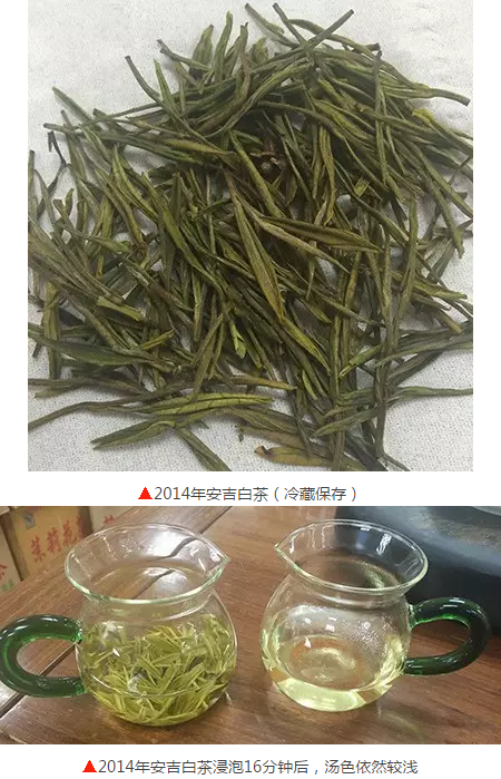 泡茶