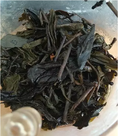 安化黑茶的金花溶于水吗