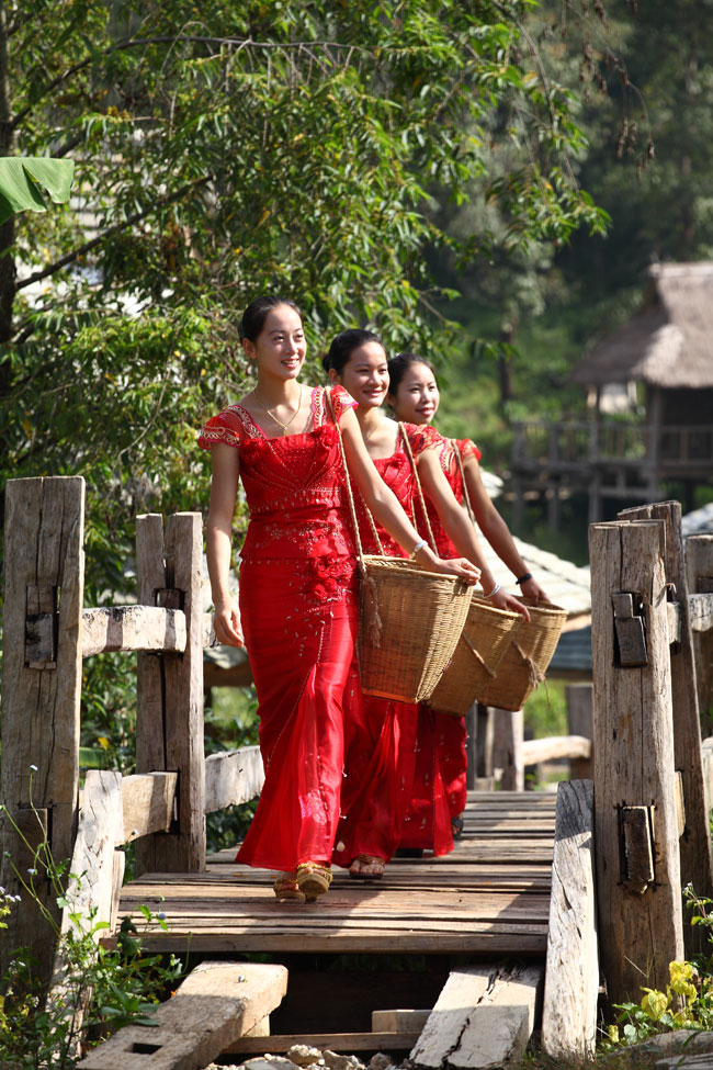 美女摘茶叶