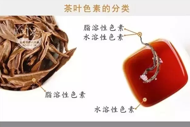 茶的颜色有哪些