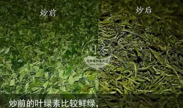 各种茶的颜色图片