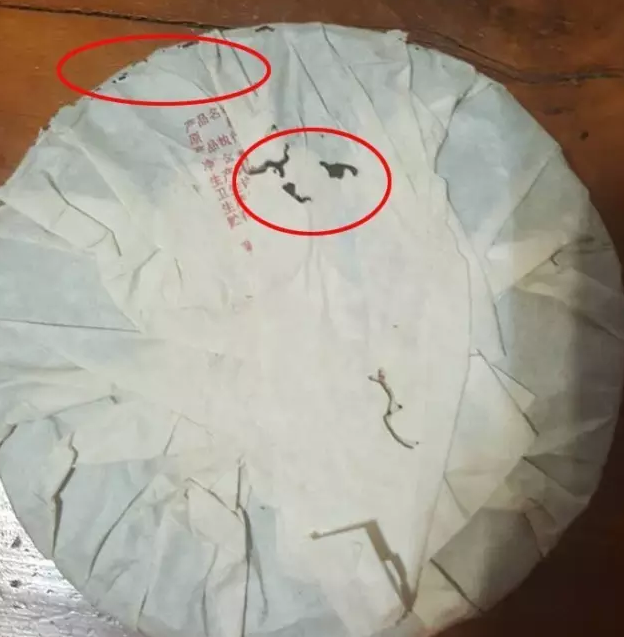虫子？