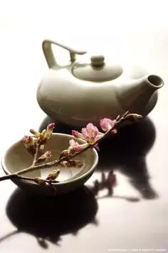/ 不会在为你泡茶,