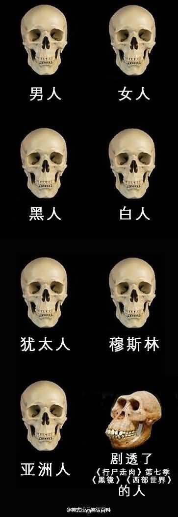囧图161026:这码打得简直丧心病狂|40图