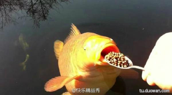 内涵图第1787期：台湾万圣节老师好会玩，这是要吓尿小盆宇的节奏啊